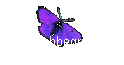 Fachbegriffe
-Einfhrung-