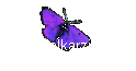 Ovarialkarzinom
/Eierstockkrebs