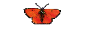 Ovarialkarzinom
/Eierstockkrebs