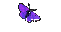 Ovarialkarzinom
 NEWS-ARCHIV