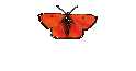 Ovarialkarzinom
 NEWS-ARCHIV