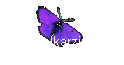 Ovarialkarzinom 
 News - Seite 2