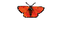 Ovarialkarzinom 
 News - Seite 2