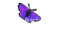 Ovarialkarzinom 
    - News - 3