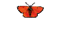 Ovarialkarzinom 
    - News - 3
