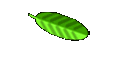 Datenbank-
Ovarialkarzinom