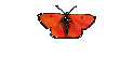  Archiv Ov.-ca. 
News allgemein