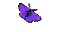 Das 1 Jahr