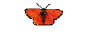Seite f�r die 
Angeh�rigen