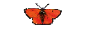 Fachbegriffe
-Einfhrung-