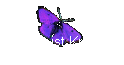  Was ist Krebs/
Ovarialkarzinom