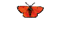   Fachbegriffe 
Ovarialkarzinom 1