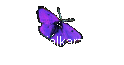   Ovarialkarzinom
Meldungen & News