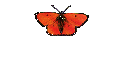     Fachbegriffe 
Ovarialkarzinom 2