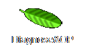 Diagnose&OP