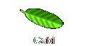 Gabi