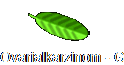 Ovarialkarzinom - Gabi's Verm�chtnis