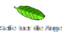 Seite-fuer-die-Angehoerigen